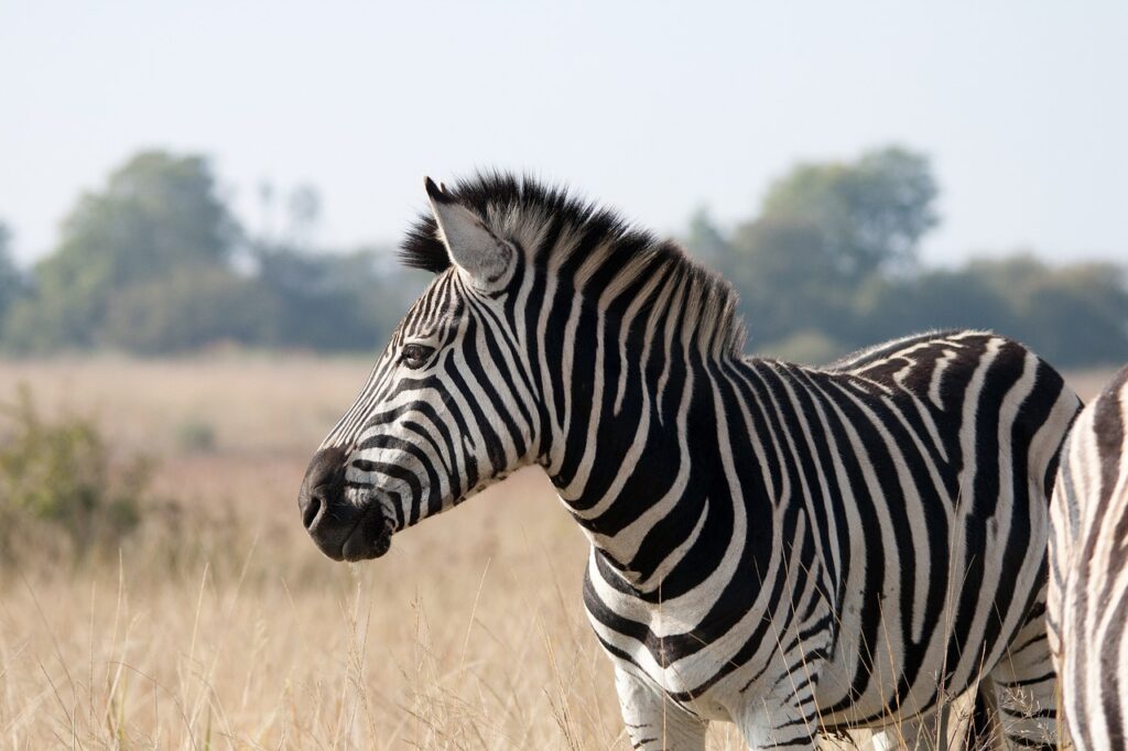 Backpacking in Kenya